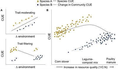 Managing Agroecosystems for Soil Microbial Carbon Use Efficiency: Ecological Unknowns, Potential Outcomes, and a Path Forward